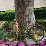 Fahrrad am Baum