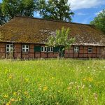 altes Haus 3